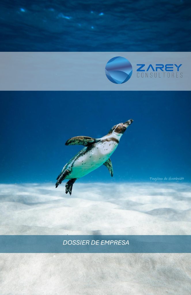 Dossier de Zarey Consultores